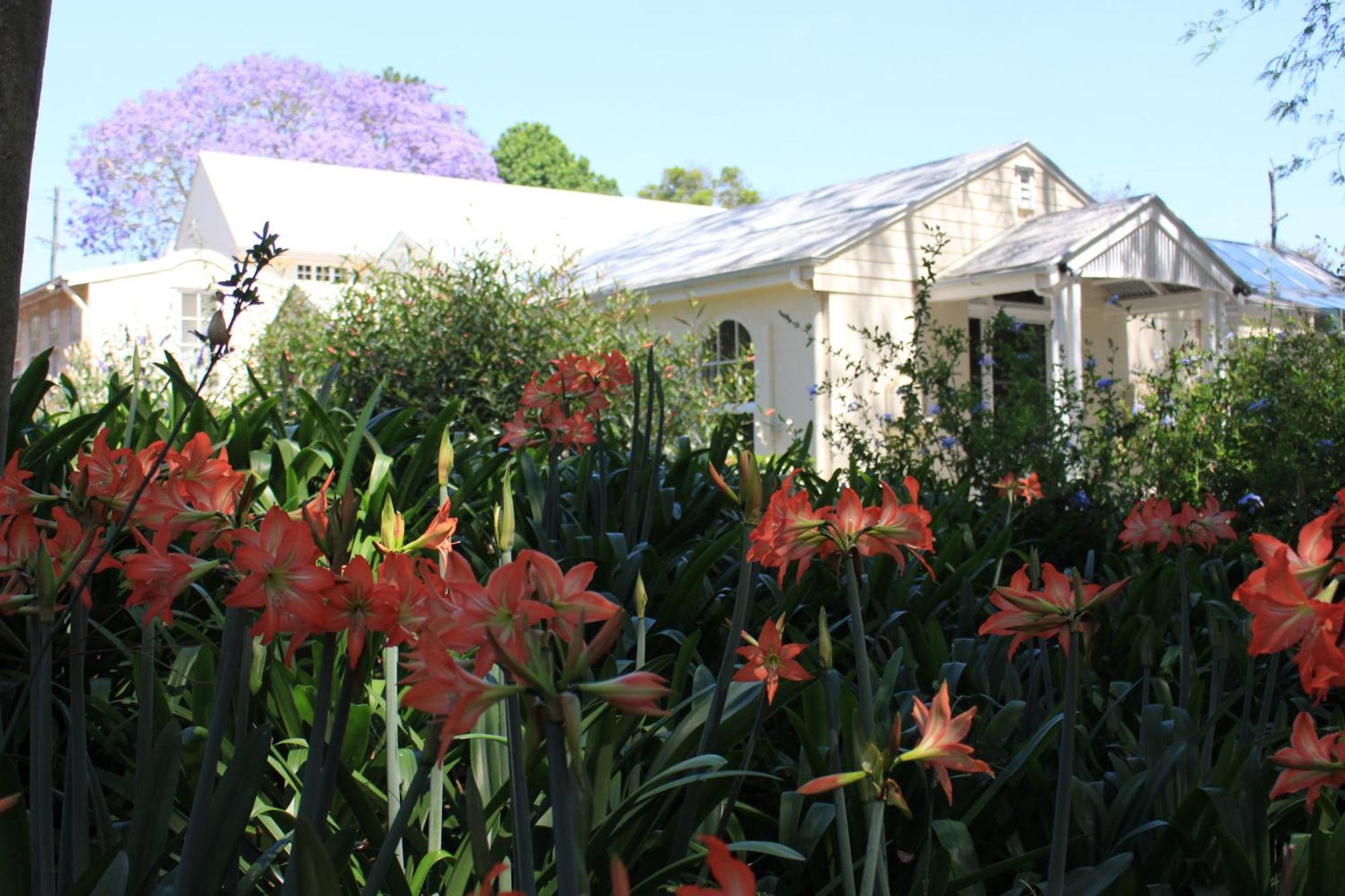 Hotel Wintergreen Manor At Maleny Exterior foto